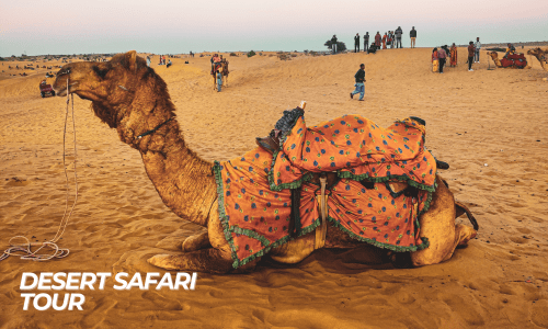 safari tour jaisalmer and osian camel safari jeep safari and sesert safari (2)-min (1)