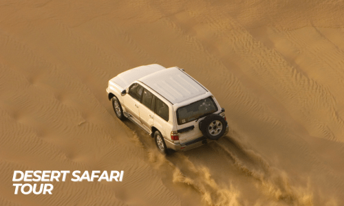 safari tour jaisalmer and osian camel safari jeep safari and sesert safari (2)-min (1)